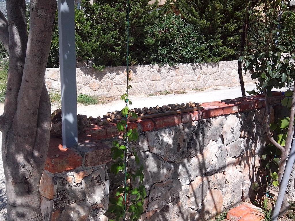 Apartman Lucija Seline Exterior photo